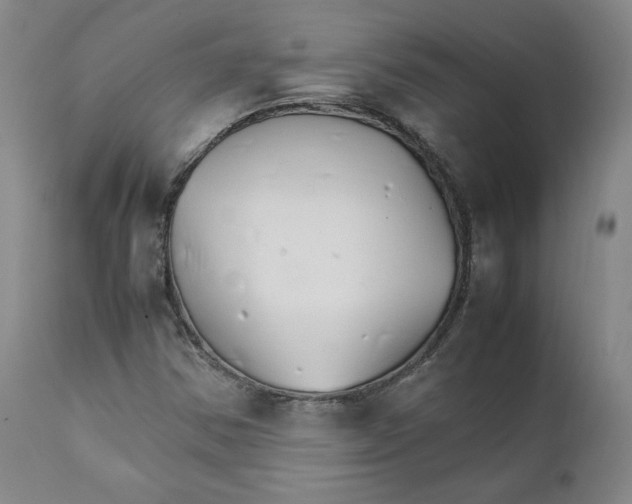 X0000111231354200907231454