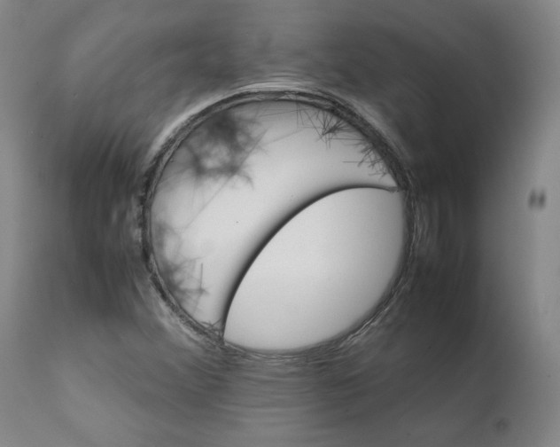 X0000111231356200907231454