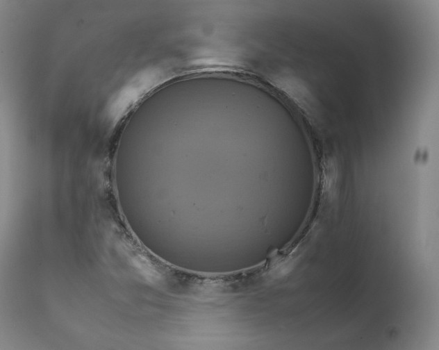 X0000111231357200907231454