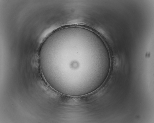 X0000111231358200907231454