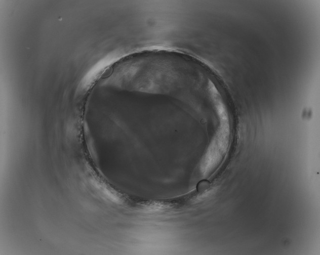 X0000111231359200907231454