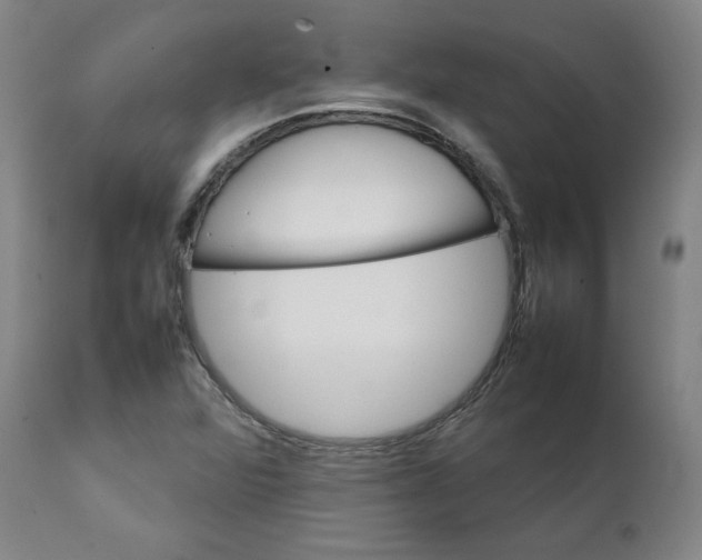 X0000111231360200907231454