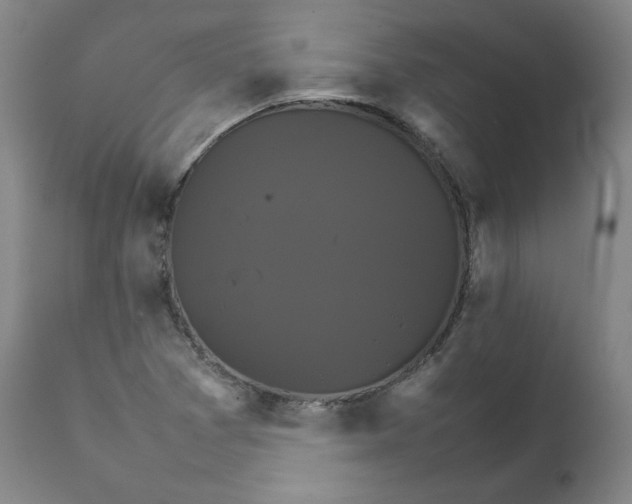 X0000111231361200907231454