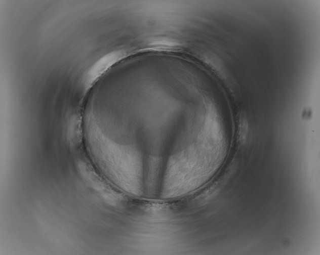 X0000111231362200907231454