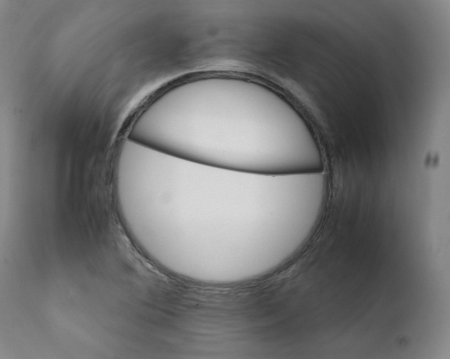 X0000111231364200907231454