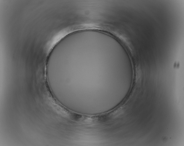 X0000111231365200907231454