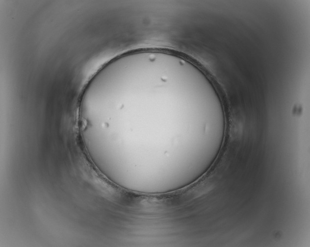 X0000111231366200907231454