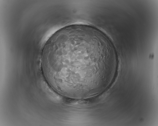 X0000111231367200907231454
