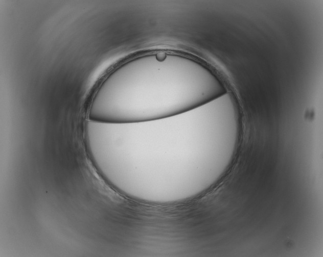X0000111231368200907231454