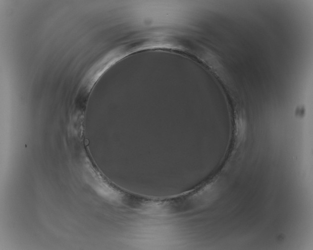 X0000111231369200907231454