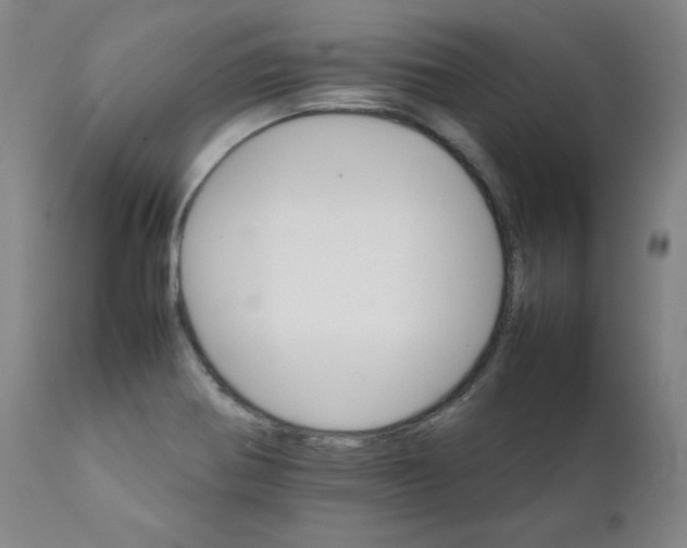 X0000111231370200907231454