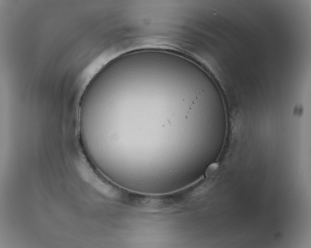 X0000111231371200907231454