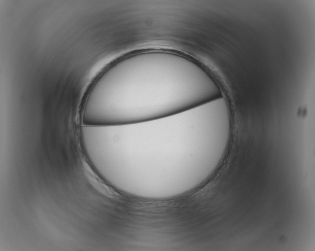 X0000111231372200907231454