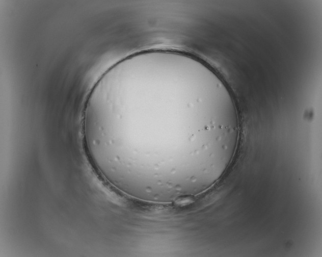 X0000111231375200907231454