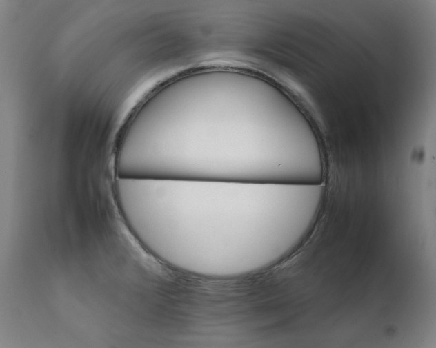 X0000111231376200907231454