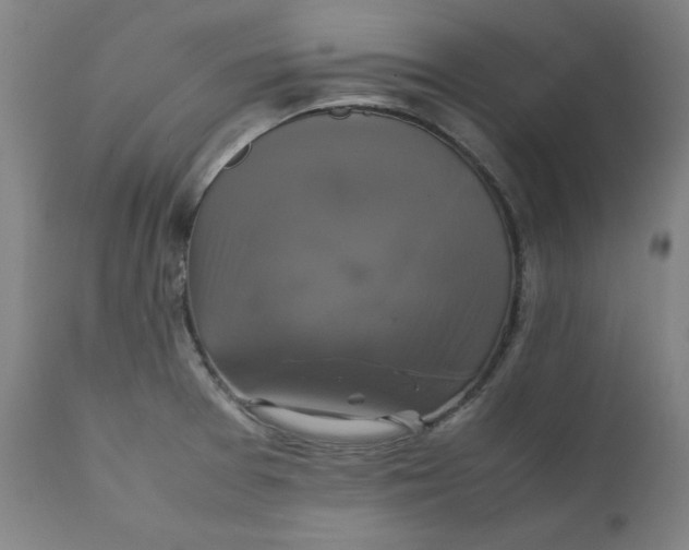 X0000111231377200907231454