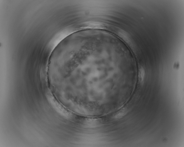 X0000111231378200907231454