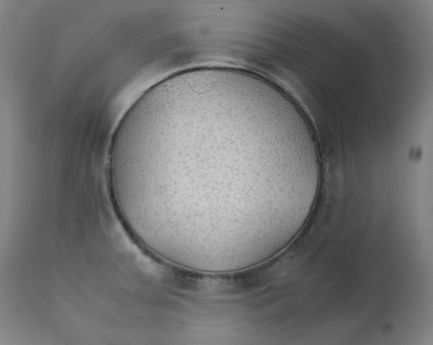 X0000111231379200907231454