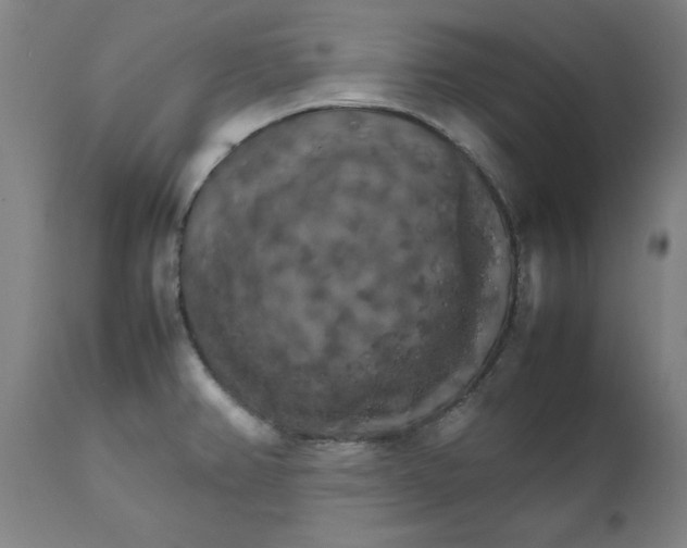 X0000111231382200907231454