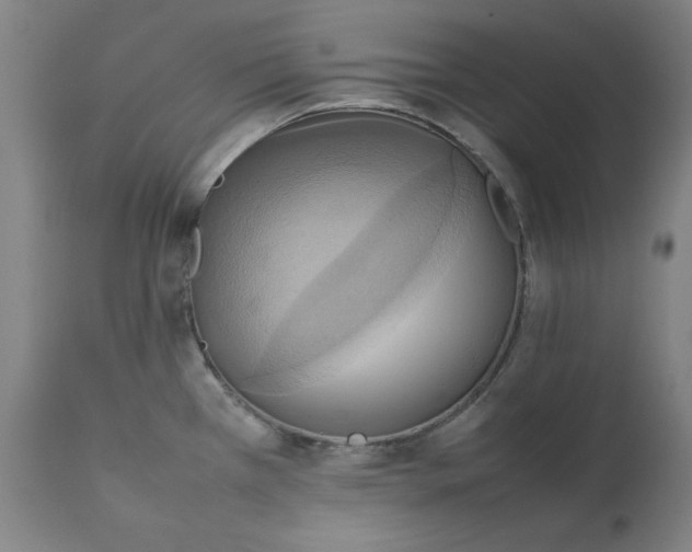 X0000111231385200907231454
