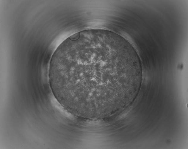 X0000111231386200907231454