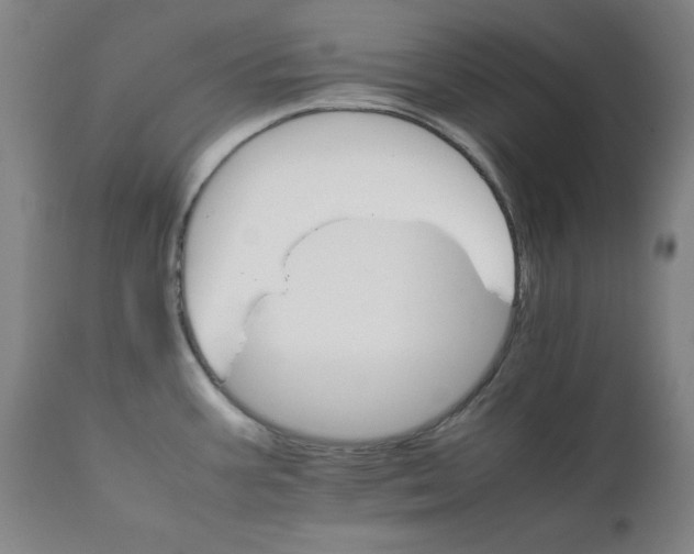 X0000111231387200907231454