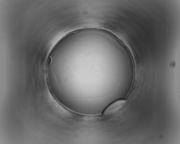 X0000111231389200907231454