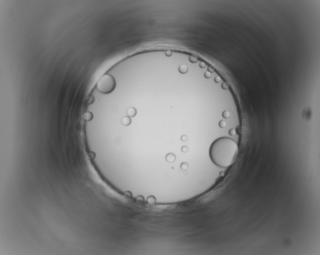 X0000111231390200907231454