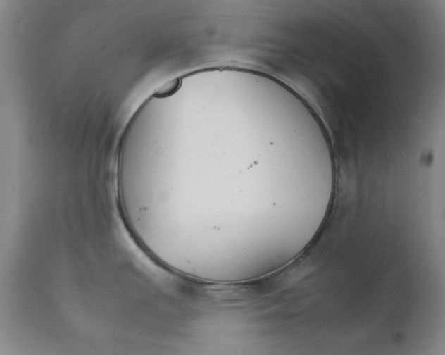 X0000111231391200907231454