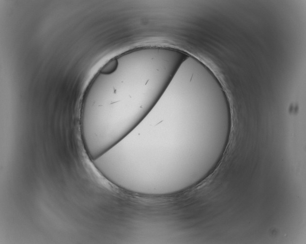 X0000111231392200907231454