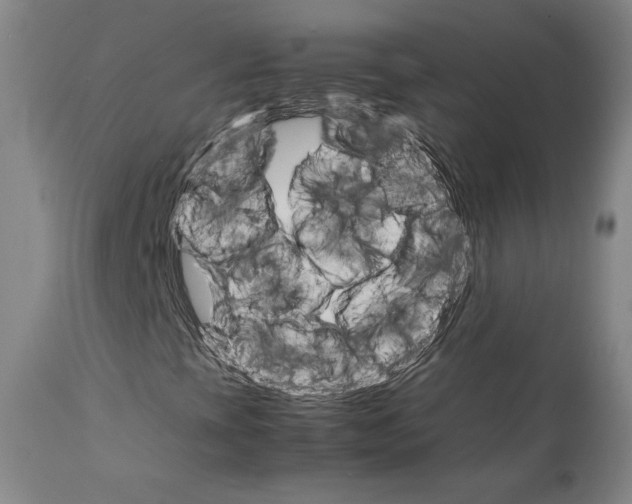 X0000111231393200907231453
