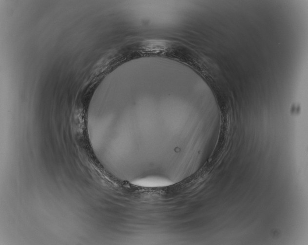 X0000111231394200907231453