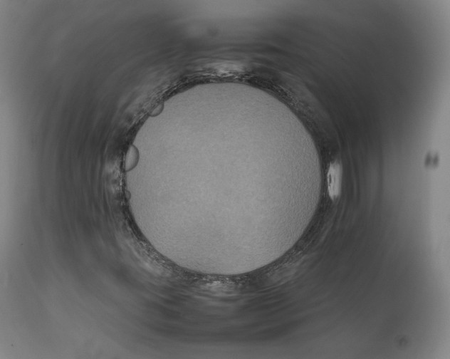 X0000111231395200907231453