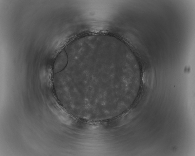 X0000111231396200907231453
