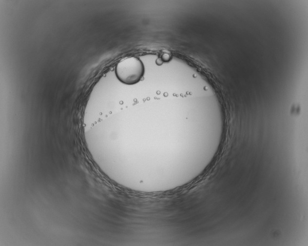 X0000111231398200907231453