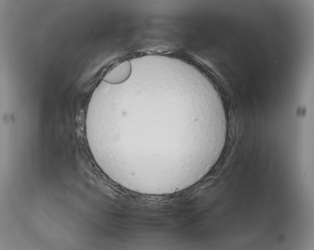 X0000111231399200907231453