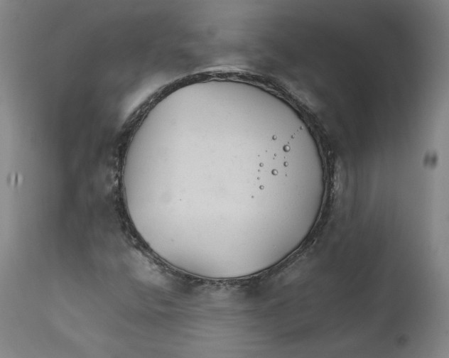 X0000111231400200907231453