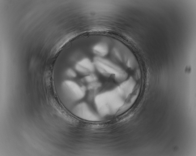 X0000111231401200907231453