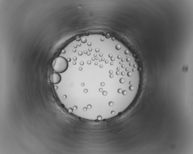 X0000111231402200907231453