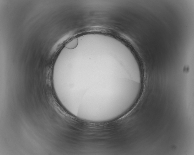 X0000111231403200907231453