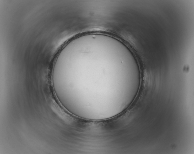 X0000111231404200907231453