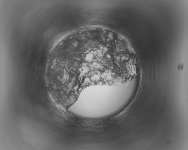 X0000111231405200907231453
