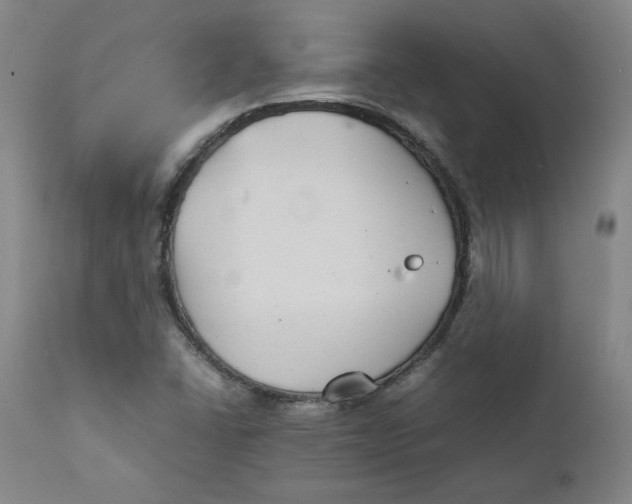 X0000111231406200907231453