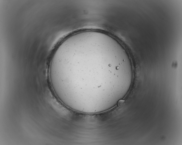 X0000111231408200907231453