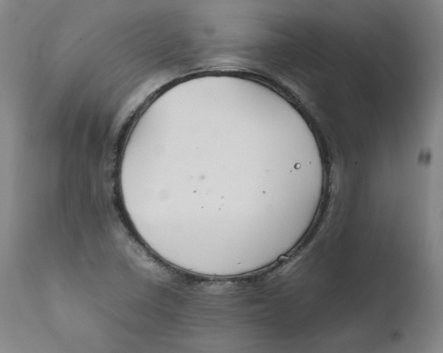 X0000111231410200907231453
