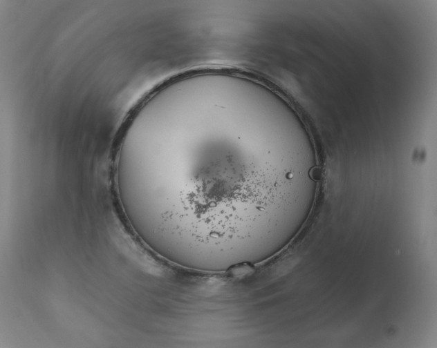 X0000111231412200907231453
