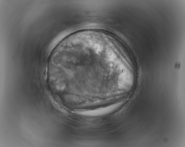 X0000111231413200907231453