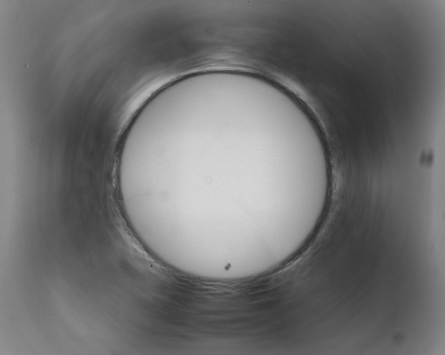 X0000111231415200907231453