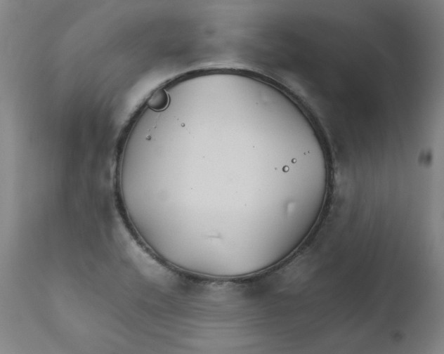 X0000111231416200907231453