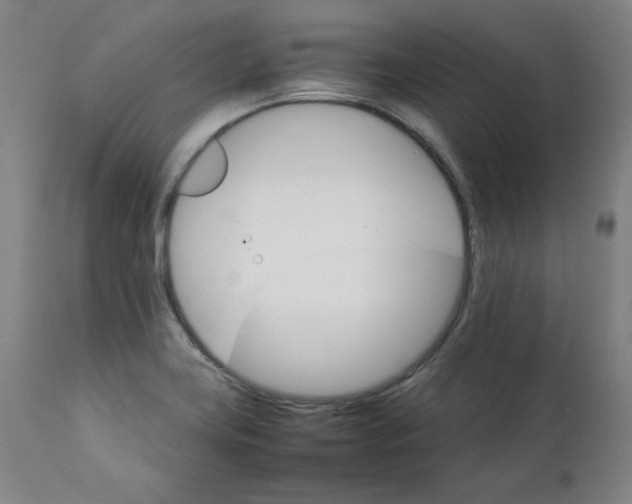 X0000111231419200907231453